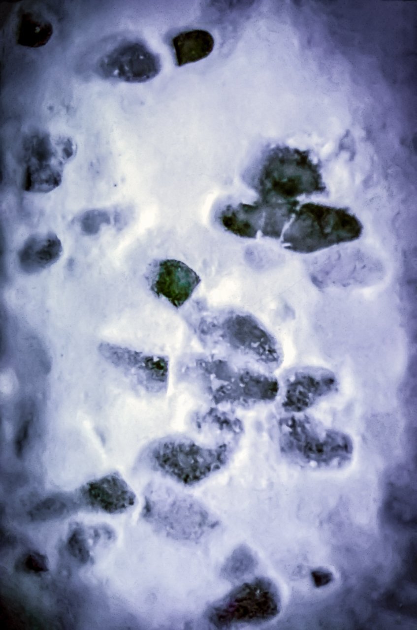 Paper Print Footprints in the Snow JaiGieEse PhotoArt