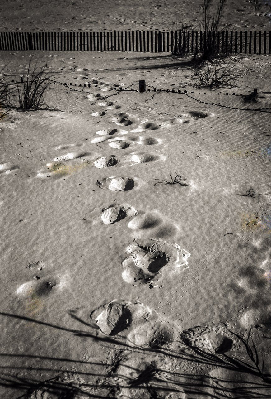 Paper Print Footprints on the Beach JaiGieEse PhotoArt