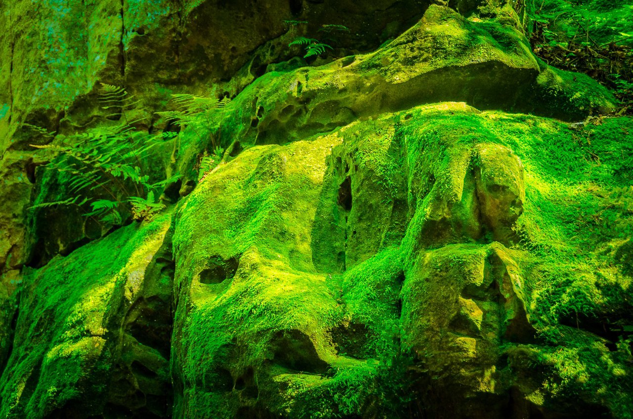 Digital Download Green Mountain Ogre LIC