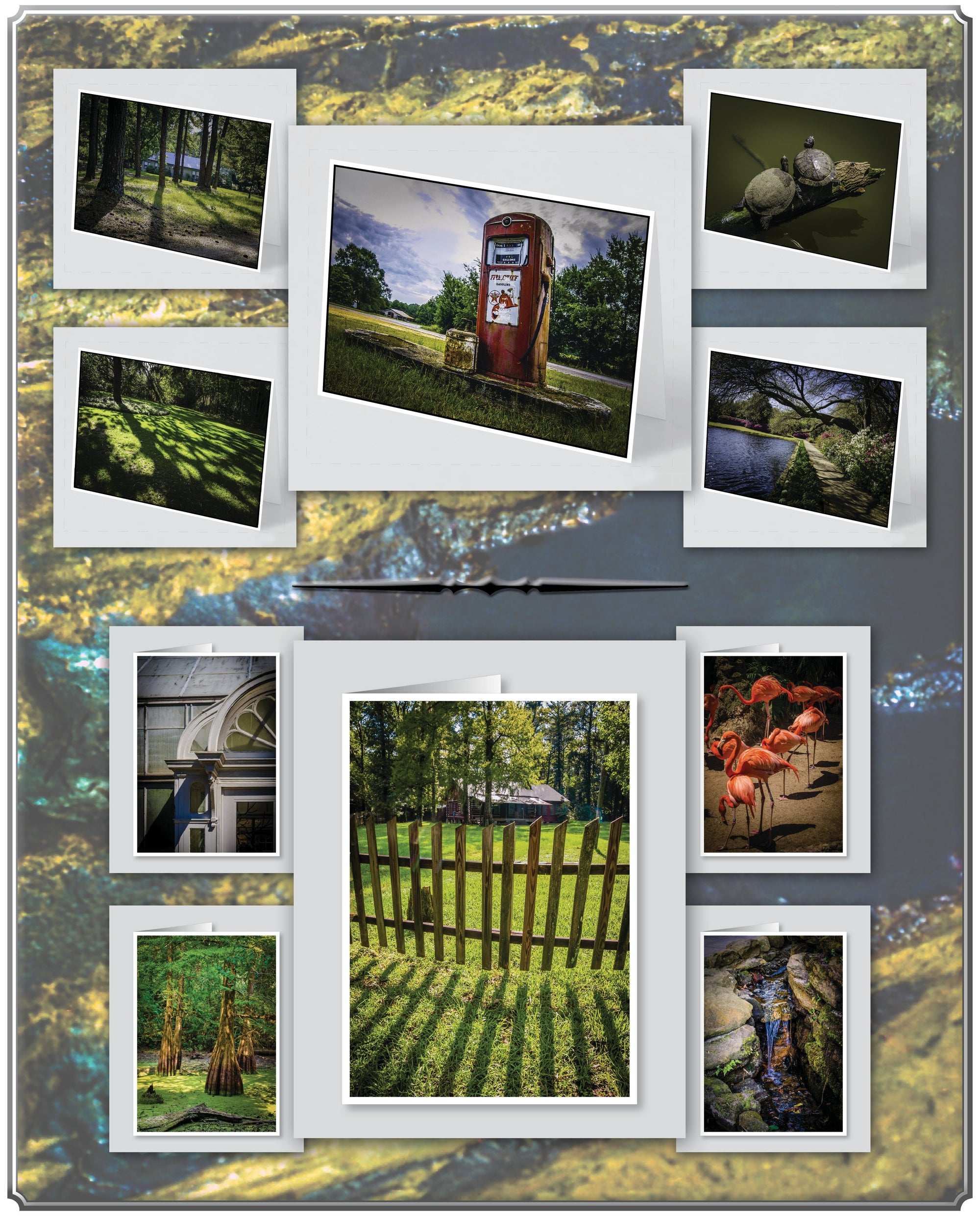 Note Cards Southernesque - Set 1 JaiGieEse PhotoArt